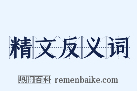 精文反义词是什么意思的图片